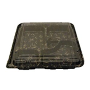 BENTO MOMIJI (L) (93636) 50/4