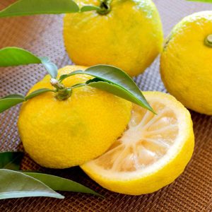 YUZU JUICE & PONZU
