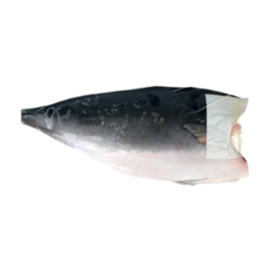 FZ. HAMACHI PREMIUM 7PC  #20230