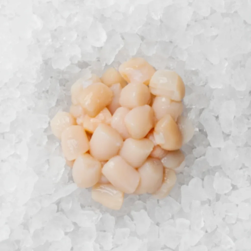 frozen cooked baby bay scallop hotate LL sushi wholesale restaurant supply #20438