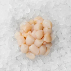 frozen cooked baby bay scallop hotate LL sushi wholesale restaurant supply #20438