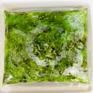 20629 FZ. HIYASHI WAKAME NO MSG