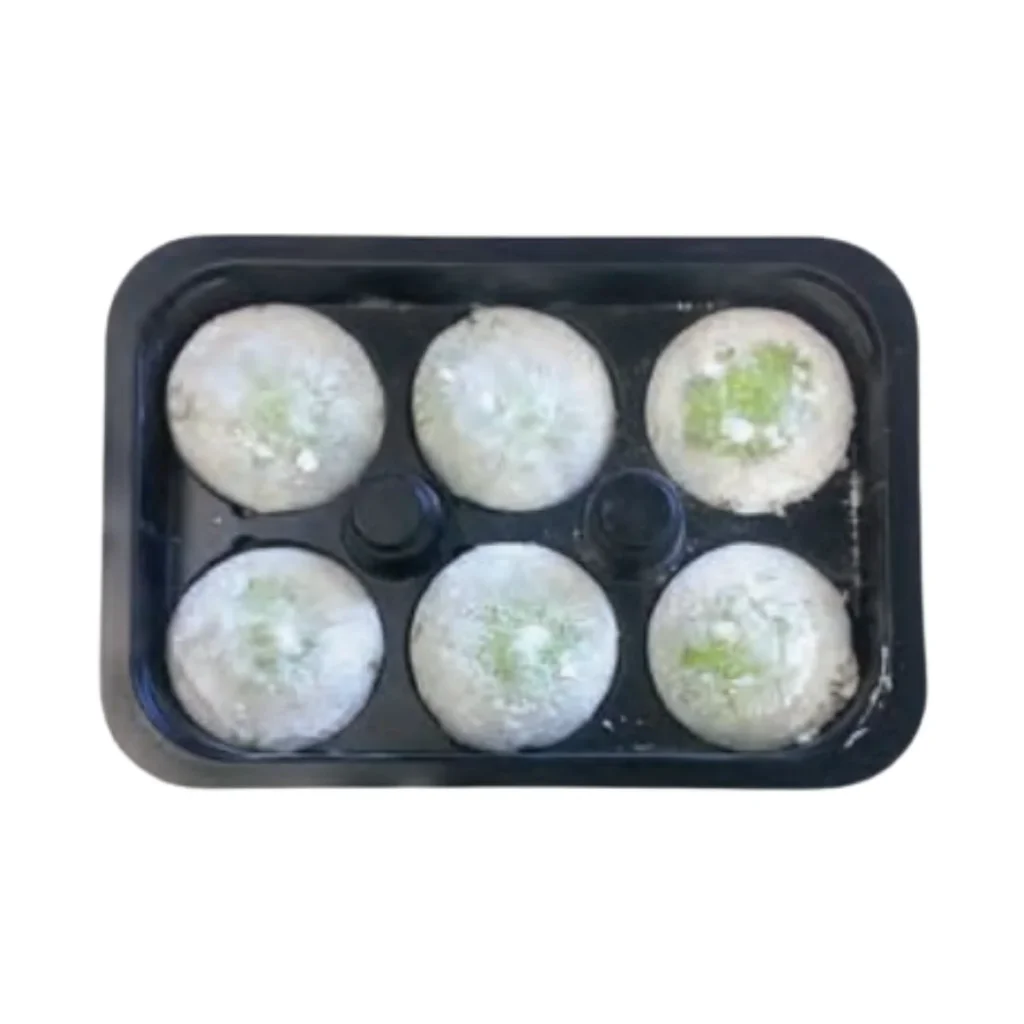Uji matcha green tea mochi ice cream frozen dessert wholesale restaurant supply #20927-1