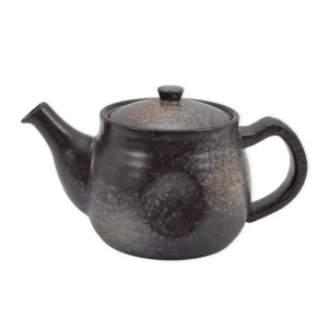 Bizen Fu black Tokoname yaki kyusu teapot wholesale restaurant supply #C3A964